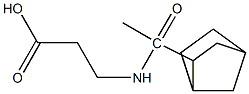 3-(1-{bicyclo[2.2.1]heptan-2-yl}acetamido)propanoic acid Struktur