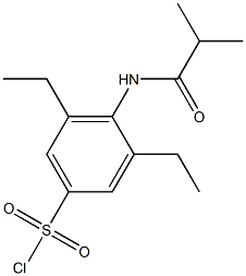 3,5-diethyl-4-(2-methylpropanamido)benzene-1-sulfonyl chloride Struktur