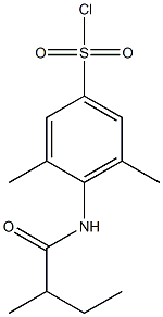 3,5-dimethyl-4-(2-methylbutanamido)benzene-1-sulfonyl chloride Struktur