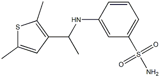 3-{[1-(2,5-dimethylthiophen-3-yl)ethyl]amino}benzene-1-sulfonamide Struktur