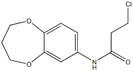 3-chloro-N-(3,4-dihydro-2H-1,5-benzodioxepin-7-yl)propanamide Struktur