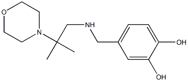 4-({[2-methyl-2-(morpholin-4-yl)propyl]amino}methyl)benzene-1,2-diol Struktur