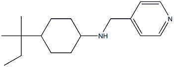 4-(2-methylbutan-2-yl)-N-(pyridin-4-ylmethyl)cyclohexan-1-amine Struktur