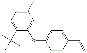 4-(2-tert-butyl-5-methylphenoxy)benzaldehyde Struktur