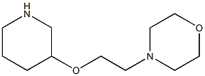 4-[2-(piperidin-3-yloxy)ethyl]morpholine Struktur