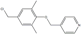 4-[4-(chloromethyl)-2,6-dimethylphenoxymethyl]pyridine Struktur