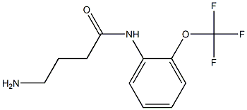 4-amino-N-[2-(trifluoromethoxy)phenyl]butanamide Struktur