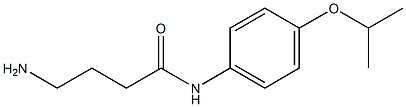 4-amino-N-[4-(propan-2-yloxy)phenyl]butanamide Struktur