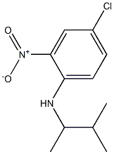 4-chloro-N-(3-methylbutan-2-yl)-2-nitroaniline Struktur