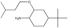 4-tert-butyl-2-(3-methylbutoxy)cyclohexan-1-amine Struktur