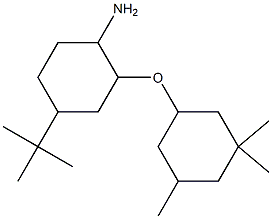 4-tert-butyl-2-[(3,3,5-trimethylcyclohexyl)oxy]cyclohexan-1-amine Struktur