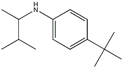 4-tert-butyl-N-(3-methylbutan-2-yl)aniline Struktur