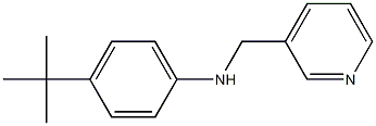 4-tert-butyl-N-(pyridin-3-ylmethyl)aniline Struktur