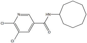 5,6-dichloro-N-cyclooctylpyridine-3-carboxamide Struktur