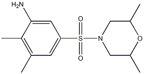 5-[(2,6-dimethylmorpholine-4-)sulfonyl]-2,3-dimethylaniline Struktur