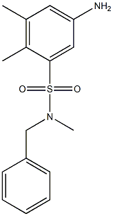 5-amino-N-benzyl-N,2,3-trimethylbenzene-1-sulfonamide Struktur