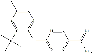 6-(2-tert-butyl-4-methylphenoxy)pyridine-3-carboximidamide Struktur