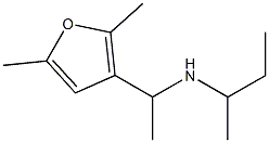 butan-2-yl[1-(2,5-dimethylfuran-3-yl)ethyl]amine Struktur