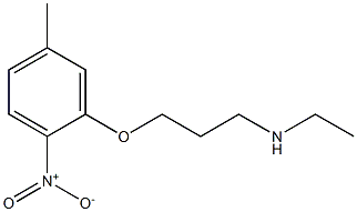 ethyl[3-(5-methyl-2-nitrophenoxy)propyl]amine Struktur