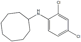 N-(2,4-dichlorophenyl)cyclooctanamine Struktur