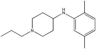 N-(2,5-dimethylphenyl)-1-propylpiperidin-4-amine Struktur