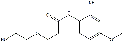 N-(2-amino-4-methoxyphenyl)-3-(2-hydroxyethoxy)propanamide Struktur