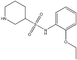 N-(2-ethoxyphenyl)piperidine-3-sulfonamide Struktur