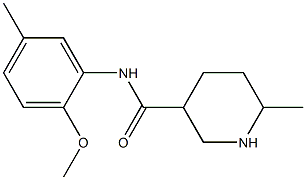 N-(2-methoxy-5-methylphenyl)-6-methylpiperidine-3-carboxamide Struktur