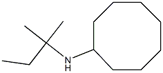 N-(2-methylbutan-2-yl)cyclooctanamine Struktur