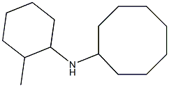 N-(2-methylcyclohexyl)cyclooctanamine Struktur