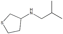 N-(2-methylpropyl)thiolan-3-amine Struktur