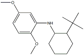 N-(2-tert-butylcyclohexyl)-2,5-dimethoxyaniline Struktur