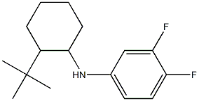 N-(2-tert-butylcyclohexyl)-3,4-difluoroaniline Struktur