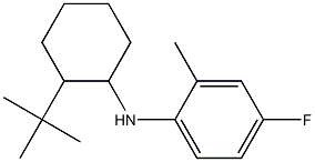 N-(2-tert-butylcyclohexyl)-4-fluoro-2-methylaniline Struktur