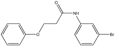 N-(3-bromophenyl)-3-phenoxypropanamide Struktur