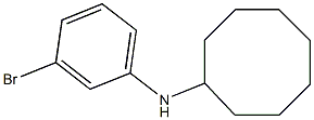 N-(3-bromophenyl)cyclooctanamine Struktur