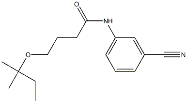 N-(3-cyanophenyl)-4-[(2-methylbutan-2-yl)oxy]butanamide Struktur