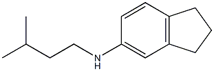 N-(3-methylbutyl)-2,3-dihydro-1H-inden-5-amine Struktur