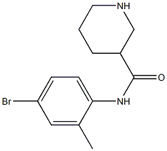 N-(4-bromo-2-methylphenyl)piperidine-3-carboxamide Struktur