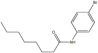 N-(4-bromophenyl)octanamide Struktur