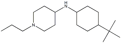 N-(4-tert-butylcyclohexyl)-1-propylpiperidin-4-amine Struktur