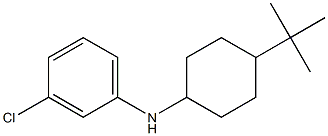 N-(4-tert-butylcyclohexyl)-3-chloroaniline Struktur