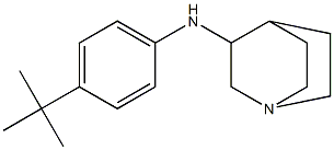 N-(4-tert-butylphenyl)-1-azabicyclo[2.2.2]octan-3-amine Struktur