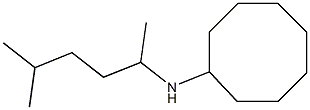 N-(5-methylhexan-2-yl)cyclooctanamine Struktur