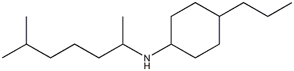 N-(6-methylheptan-2-yl)-4-propylcyclohexan-1-amine Struktur