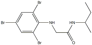 N-(butan-2-yl)-2-[(2,4,6-tribromophenyl)amino]acetamide Struktur