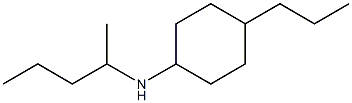 N-(pentan-2-yl)-4-propylcyclohexan-1-amine Struktur