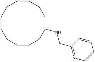 N-(pyridin-2-ylmethyl)cyclododecanamine Struktur