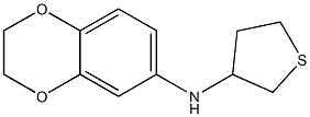 N-(thiolan-3-yl)-2,3-dihydro-1,4-benzodioxin-6-amine Struktur