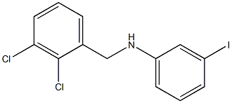 N-[(2,3-dichlorophenyl)methyl]-3-iodoaniline Struktur